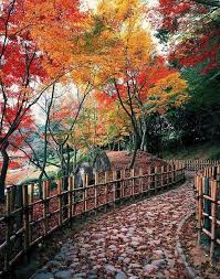 ناشناس لیلی جان